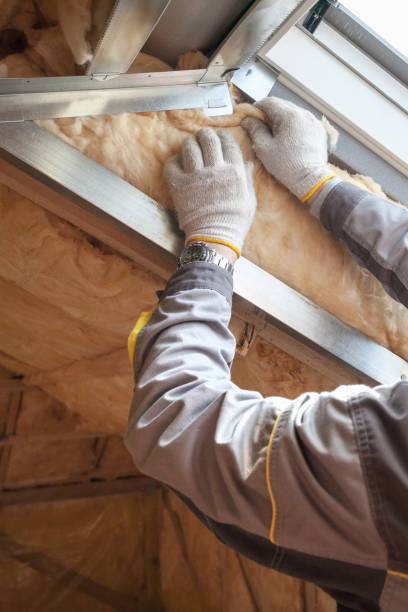 Best Insulation for Specific Applications in Holden Heights, FL